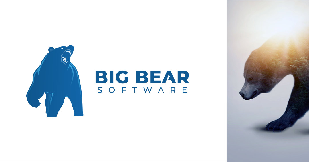 bear ccd 3000 software